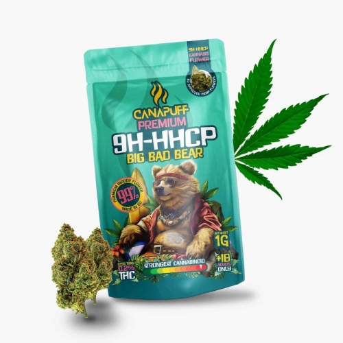9H-HHCP Big Bad Bear 99% õied – Canapuff 1 g