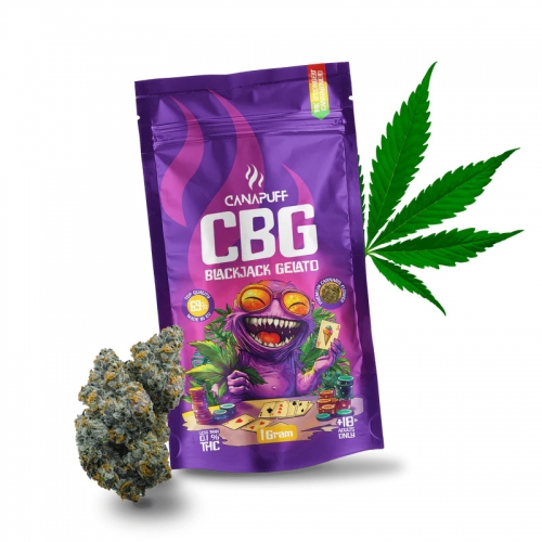 CBG-õied Blackjack Gelato 69%