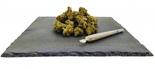 Amnesia Haze CBD kaal: 1g