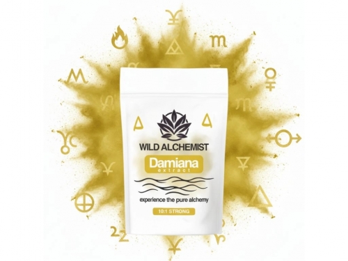 Damiana ekstrakt 10:1 – 25 g