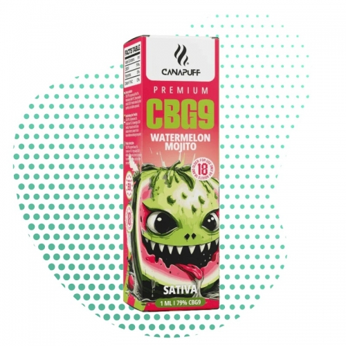 CBG9 Vape Arbuusimojito 79% 1 ml