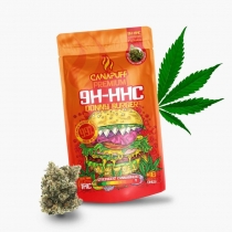 9H-HHC Donny Burgeri õied 99% – Canapuff 1 g