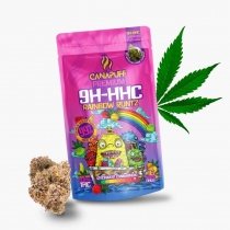 9H-HHC Rainbow Runtz õied 99% – Canapuff 1 g