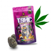 T9HC 99% kanepiõied – Canapuff 1 g