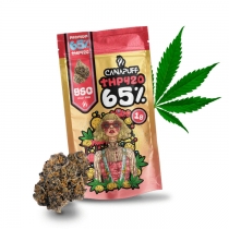 THP420 GSC 65% õied – Canapuff 1 g